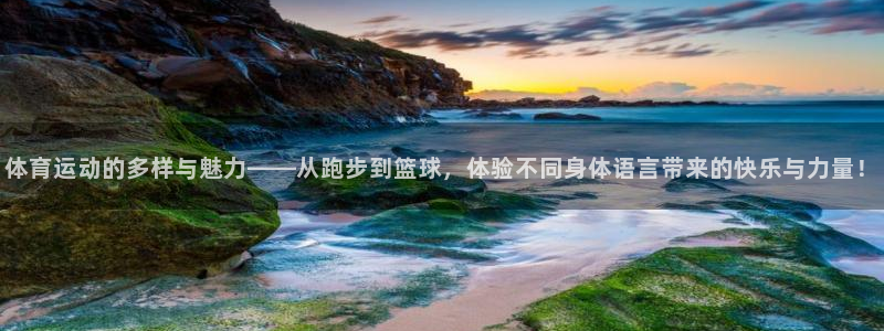 蜘蛛体育和雨燕直播对比：体育运动的多样与魅力——从跑步到篮球，体验不同身体语言带来的快乐与力量！