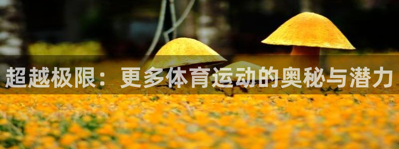 雨燕app官方下载iOS：超越极限：更多体育运动的奥秘与潜力
