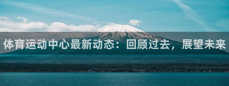 雨燕篮球直播：体育运动中心最新动态：回顾过去，展望未来