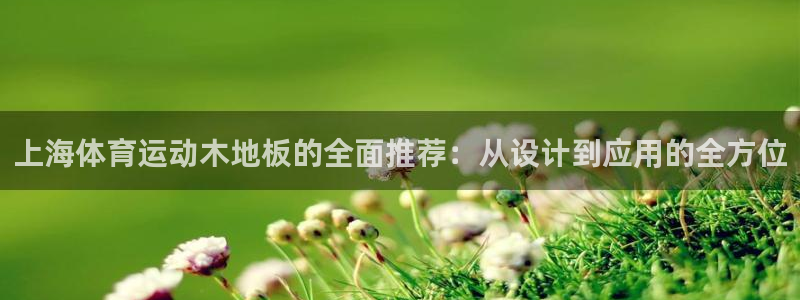 雨燕足球直播：上海体育运动木地板的全面推荐：从设计到应用的全方位