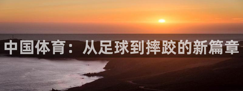 雨燕app体育在线直播：中国体育：从足球到摔跤的新篇章