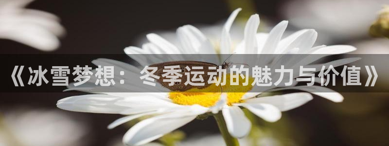360体育雨燕直播nba：《冰雪梦想：冬季运动的魅力与价值》