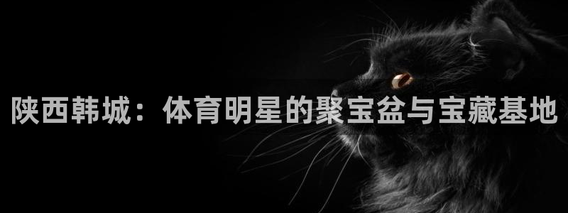 雨燕isofix接口在哪：陕西韩城：体育明星的聚宝盆与宝藏基地