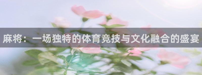 雨燕篮球直播免费视频直播：麻将：一场独特的体育竞技与文化融合的盛宴