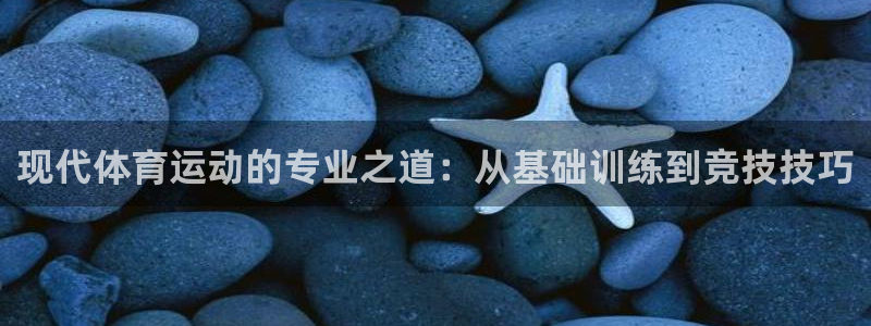 光速体育雨燕：现代体育运动的专业之道：从基础训练到竞技技巧