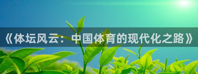 雨燕obd接口在哪图片：《体坛风云：中国体育的现代化之路》