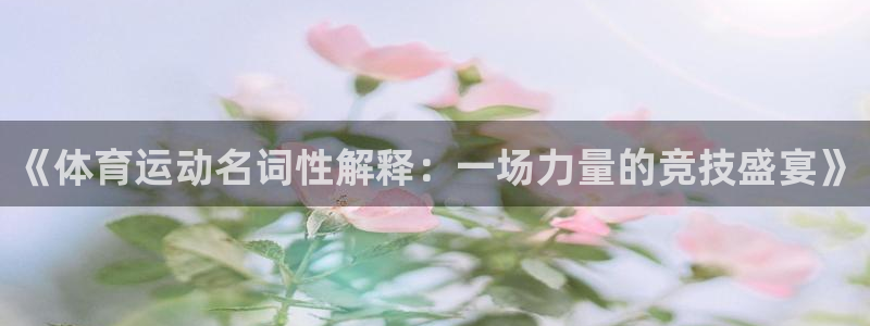 雨燕足球高清免费直播观看：《体育运动名词性解释：一场力量的竞技盛宴》