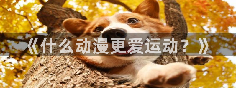 雨燕ufc直播在线直播：《什么动漫更爱运动？》