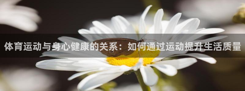 雨燕体育直播免费高清：体育运动与身心健康的关系：如何通过运动提升生活质量
