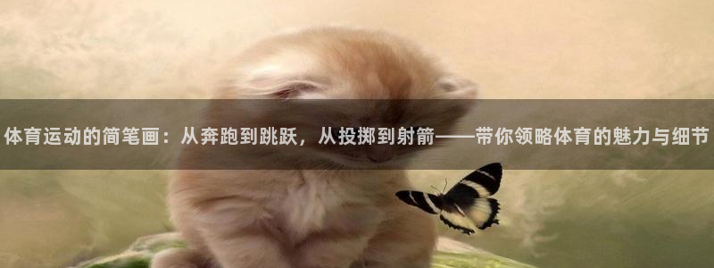 雨燕usb接口图解：体育运动的简笔画：从奔跑到跳跃，从投掷到射箭——带你领略体育的魅力与细节