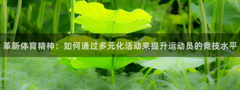 光速体育雨燕：革新体育精神：如何通过多元化活动来提升运动员的竞技水平