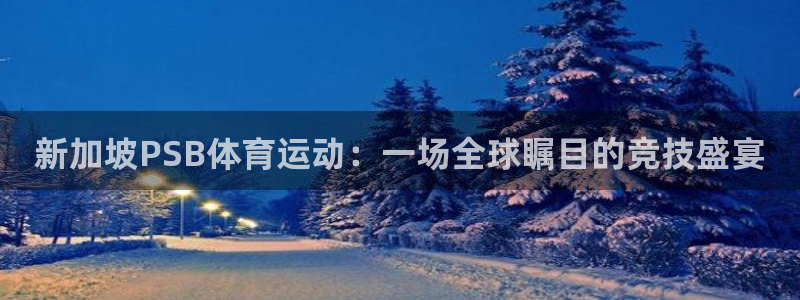 雨燕nba在线直播无插件：新加坡PSB体育运动：一场全球瞩目的竞技盛宴